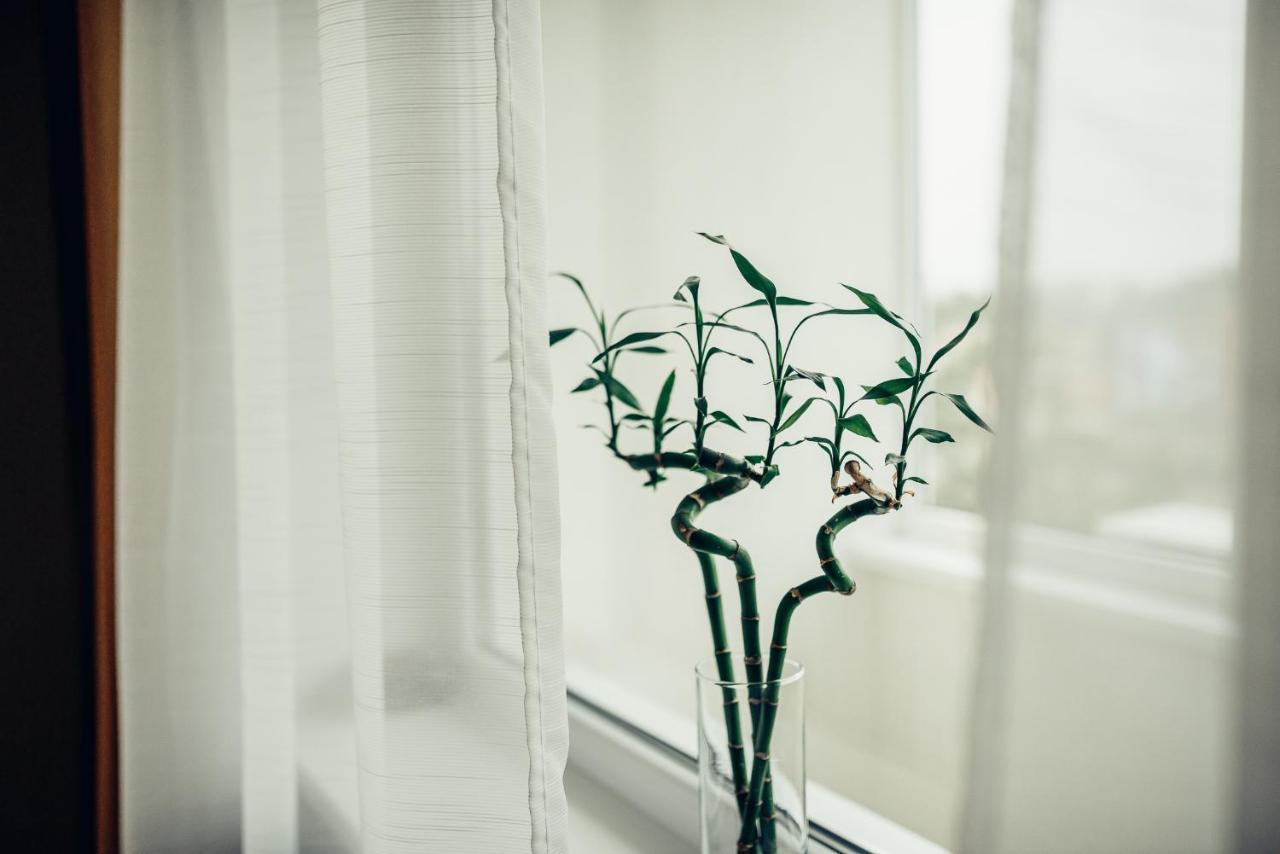 Pine Apartment Visaginas Dış mekan fotoğraf