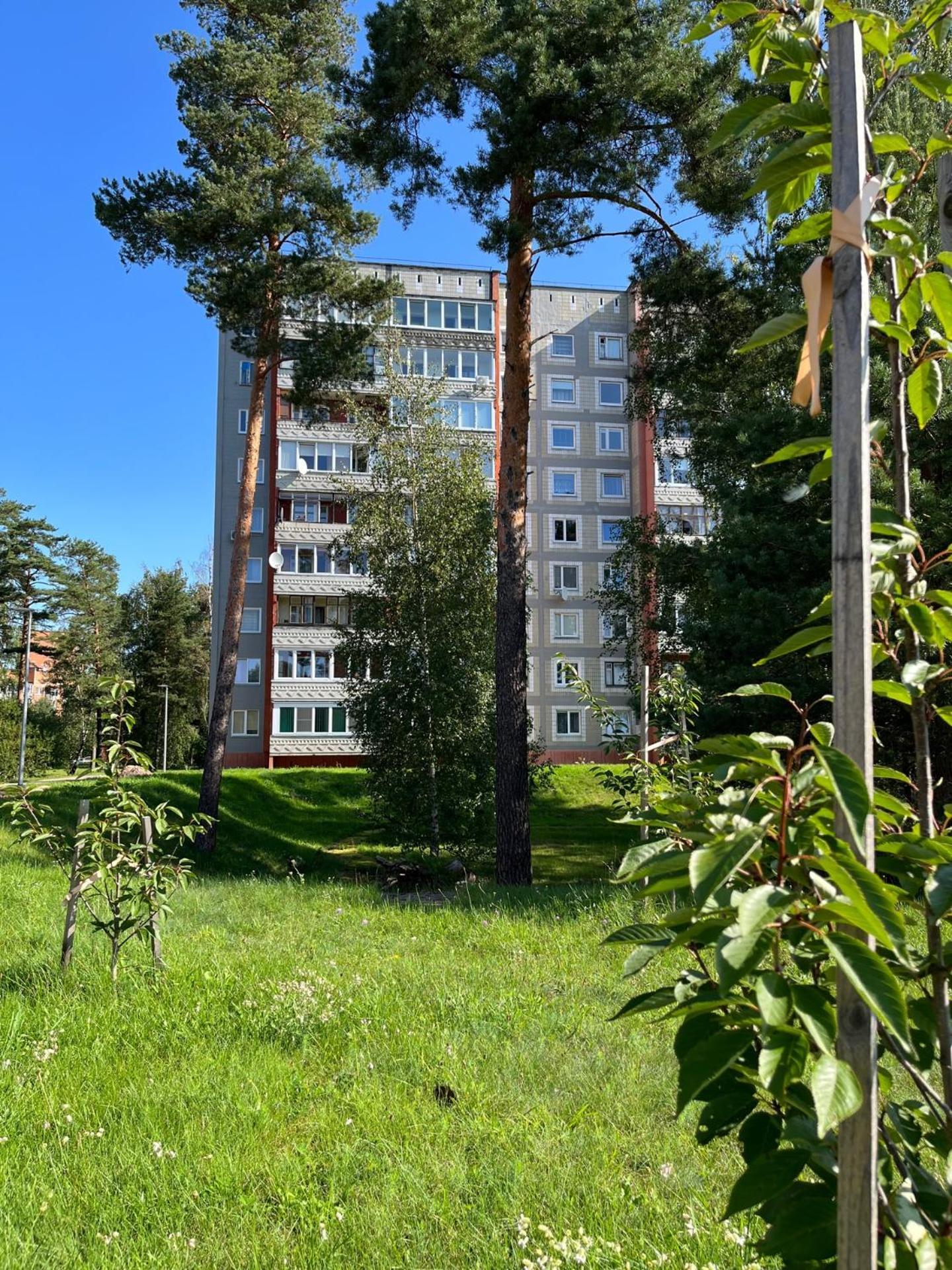 Pine Apartment Visaginas Dış mekan fotoğraf