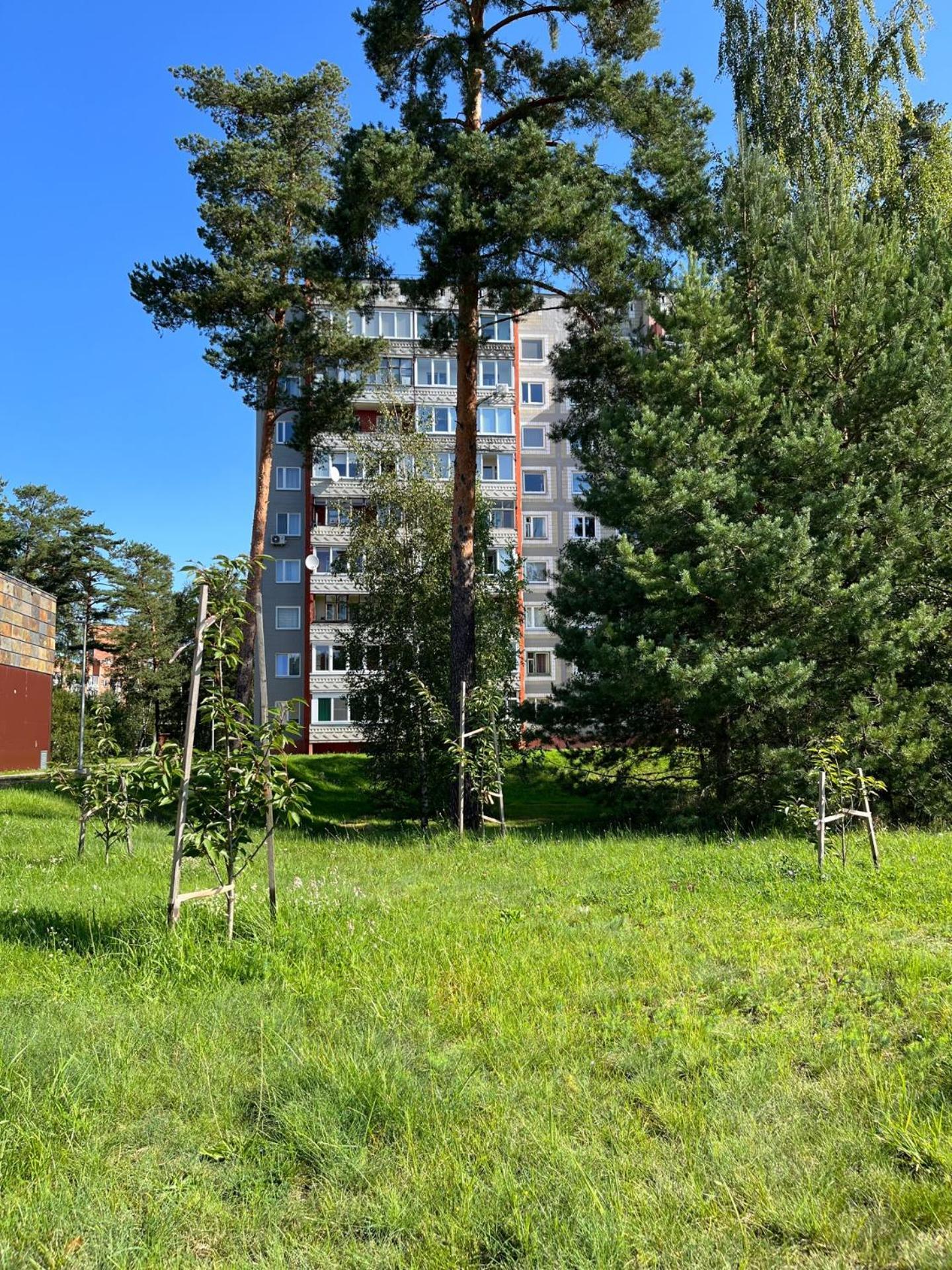 Pine Apartment Visaginas Dış mekan fotoğraf